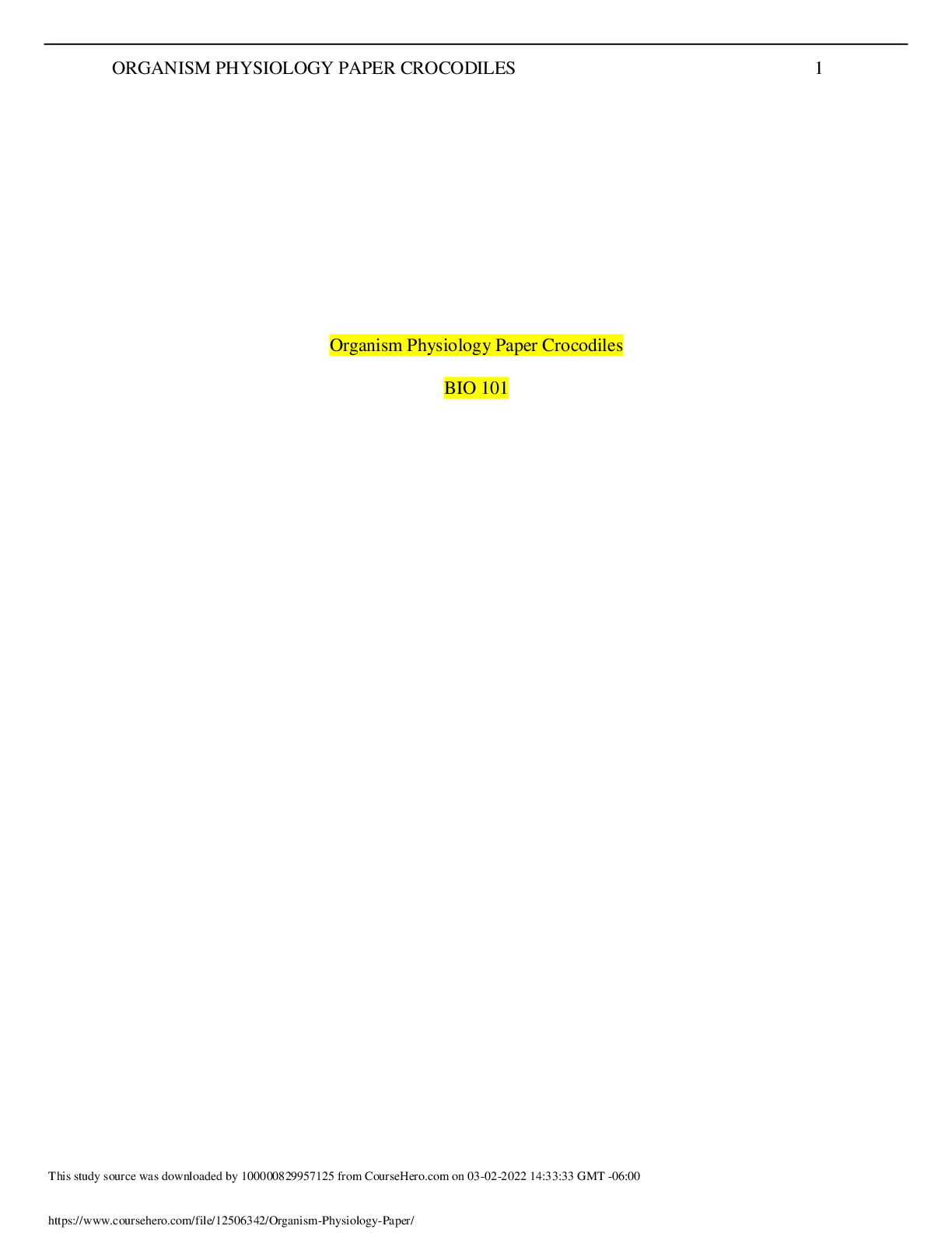 document-preview